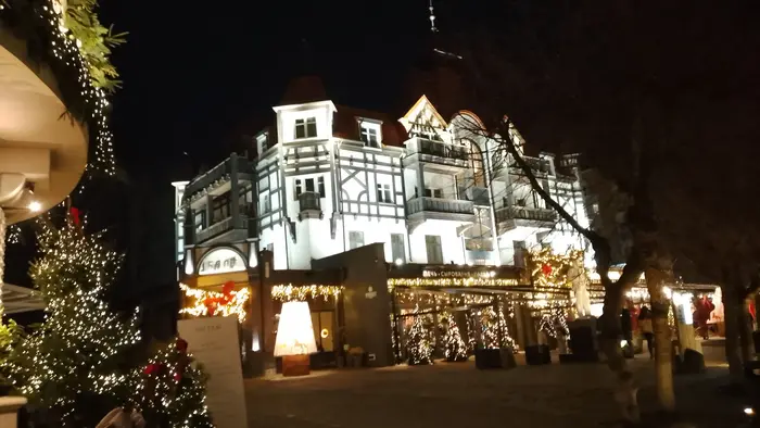 Свидание с Зеленоградском: влюбитесь в город за 2 часа. Море, коты, история и никакой спешки