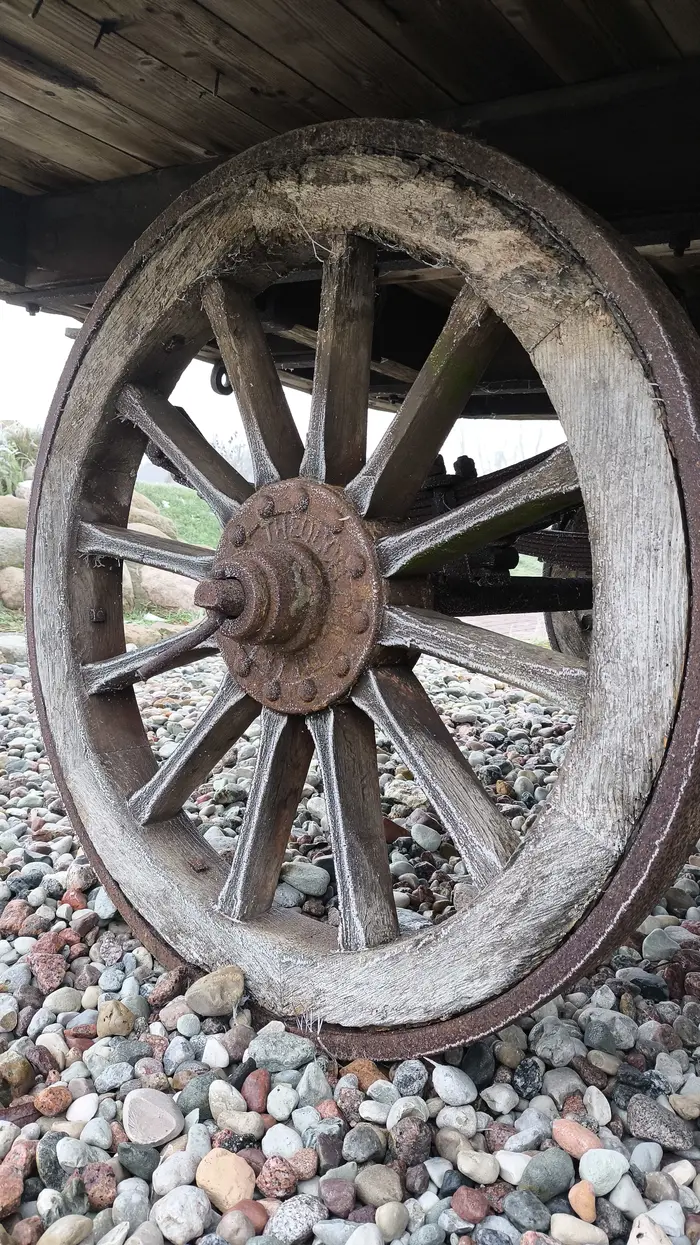 Калининград нетуристический: кофе в порту, прусские замки, старинные кирхи и сыр, за которым едут 1200 км