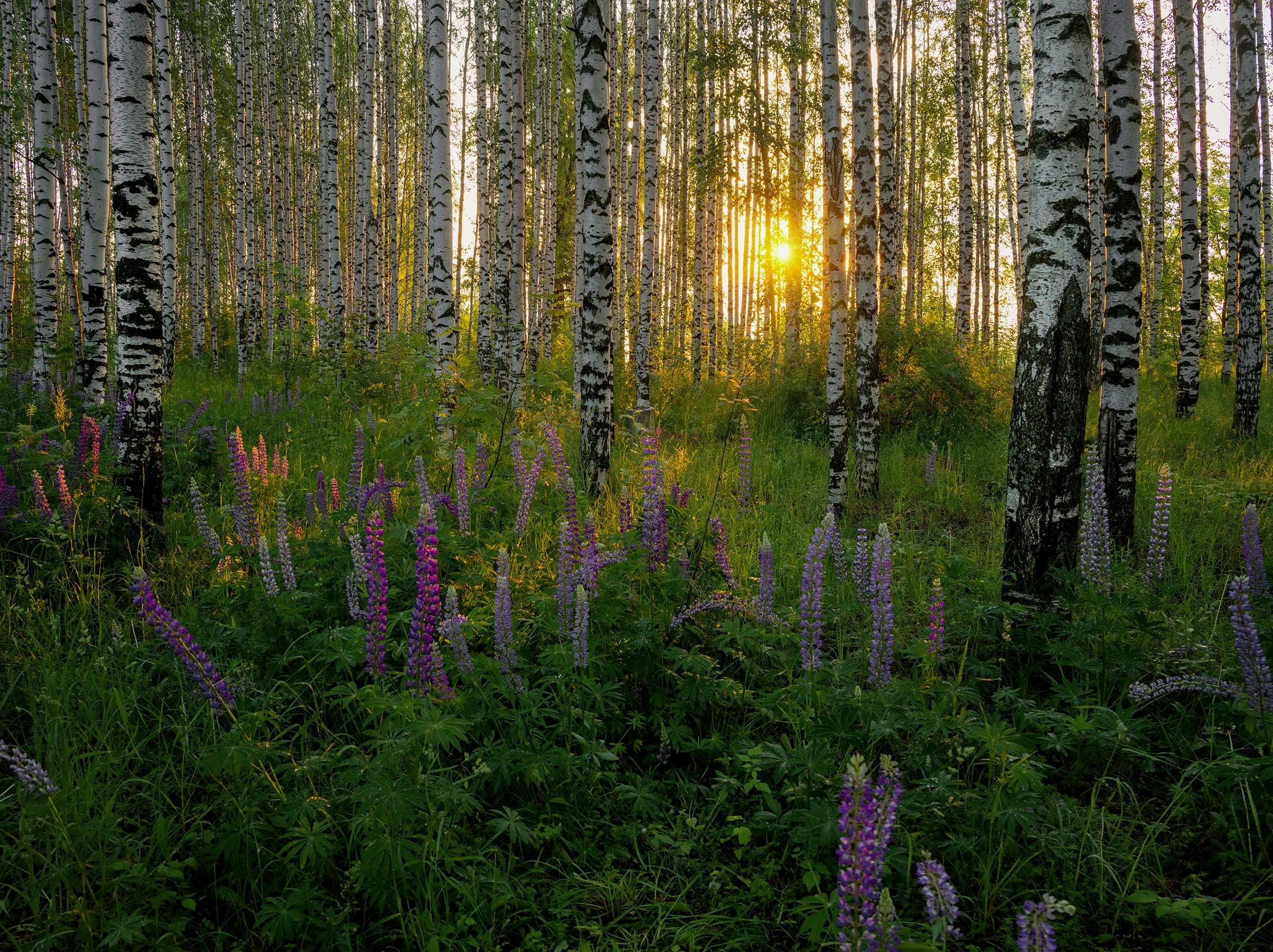 Вятка: первое свидание с городом-загадкой. Катаемся, гуляем, фотографируемся