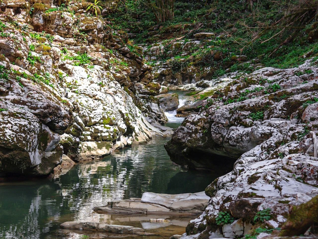 Каньоны Псахо и альпийские луга: авторская атмосферная прогулка-релаксация