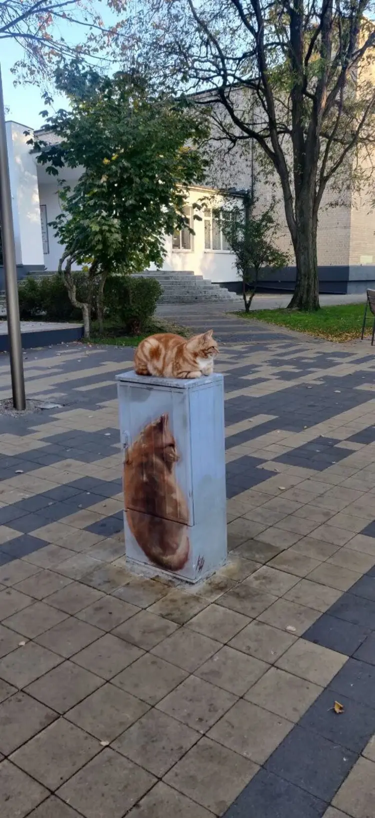 Экскурсия-трансфер из аэропорта до курорта Зеленоградск