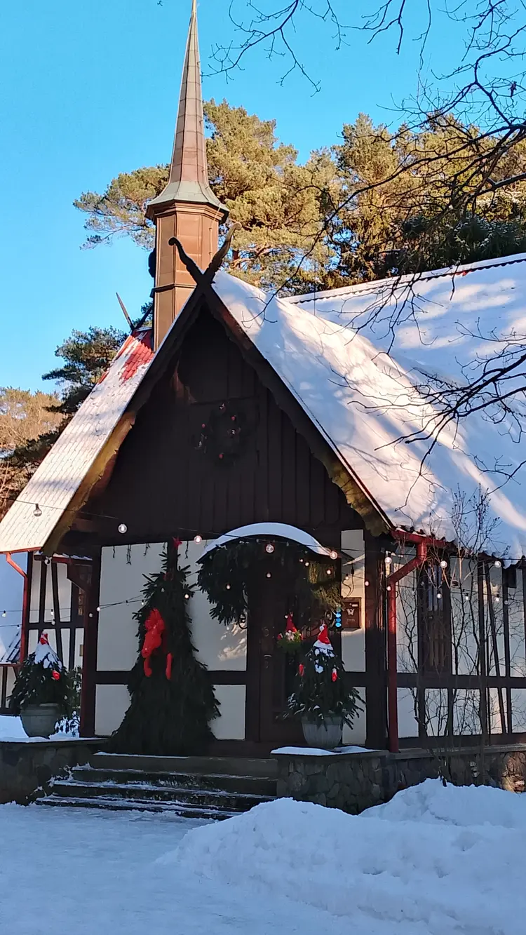 Чарующий Светлогорск на одном дыхании: неспешно, красиво, по-настоящему