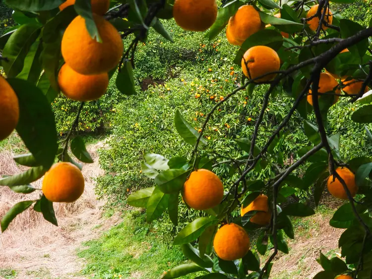 12 часов драйва в солнечной Абхазии: города-призраки и термальные источники. Выезд из Сочи