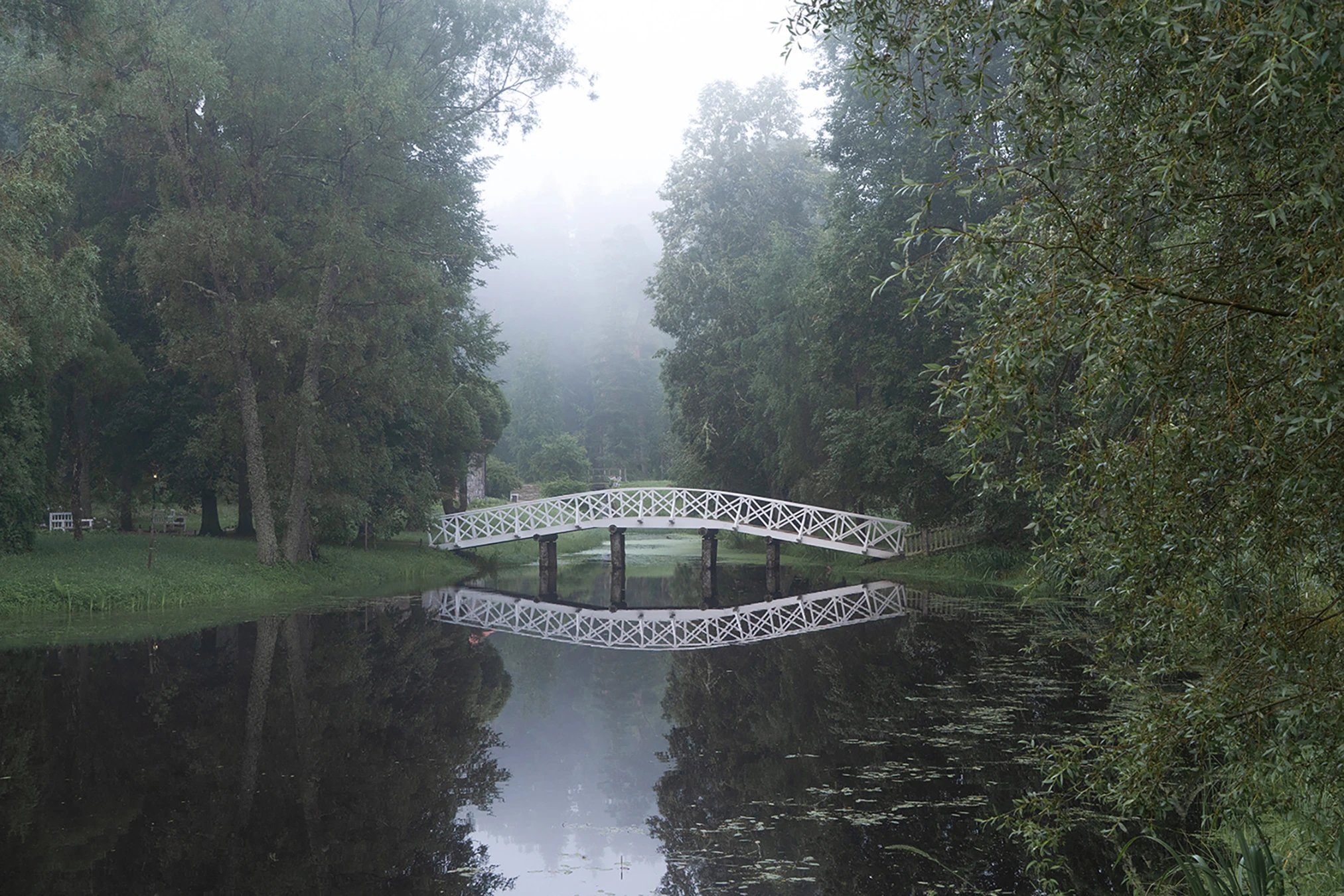 Пушкинские Горы: любовь, ссылка и гений. Литературная экскурсия из Пскова