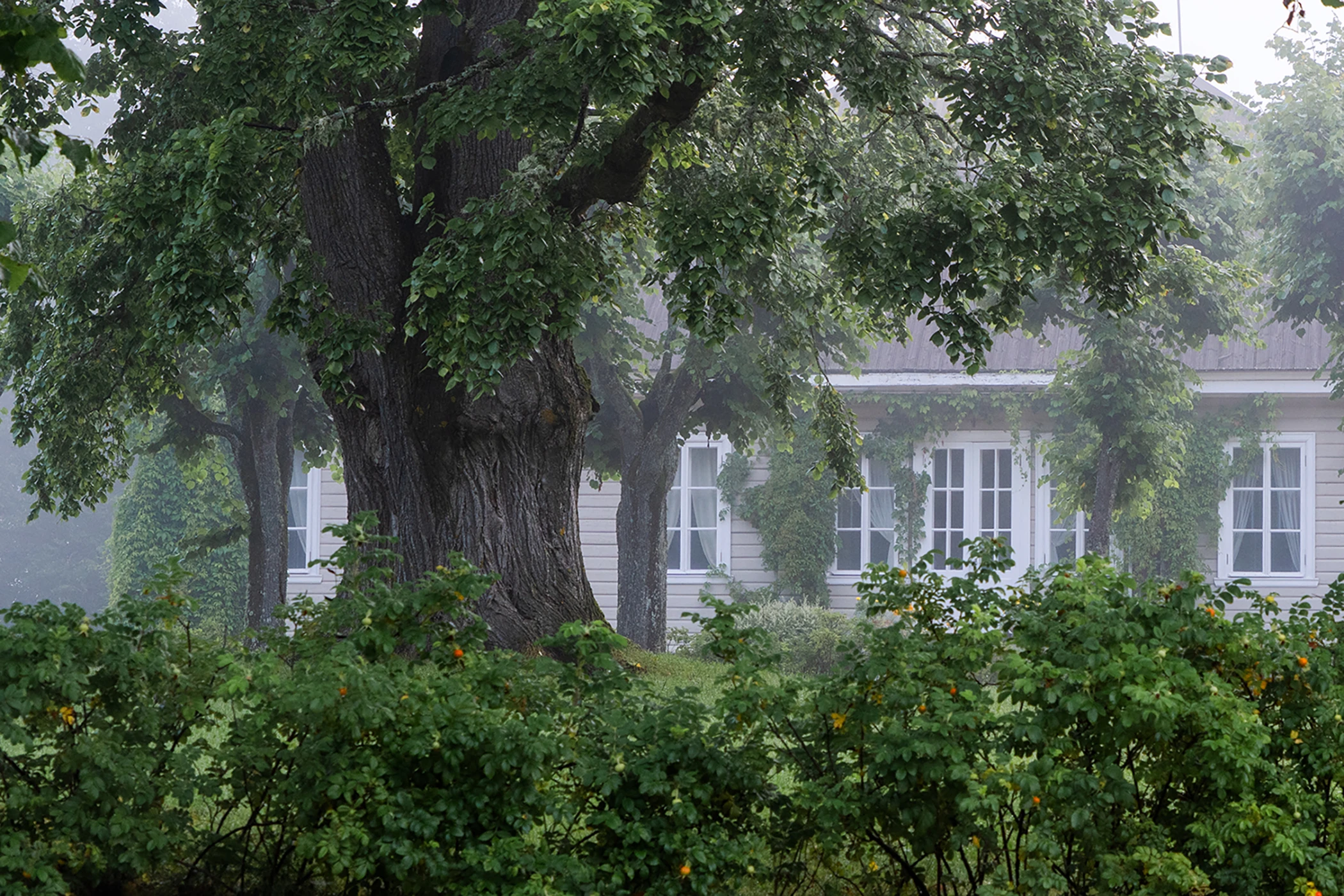 Пушкинские Горы: любовь, ссылка и гений. Литературная экскурсия из Пскова