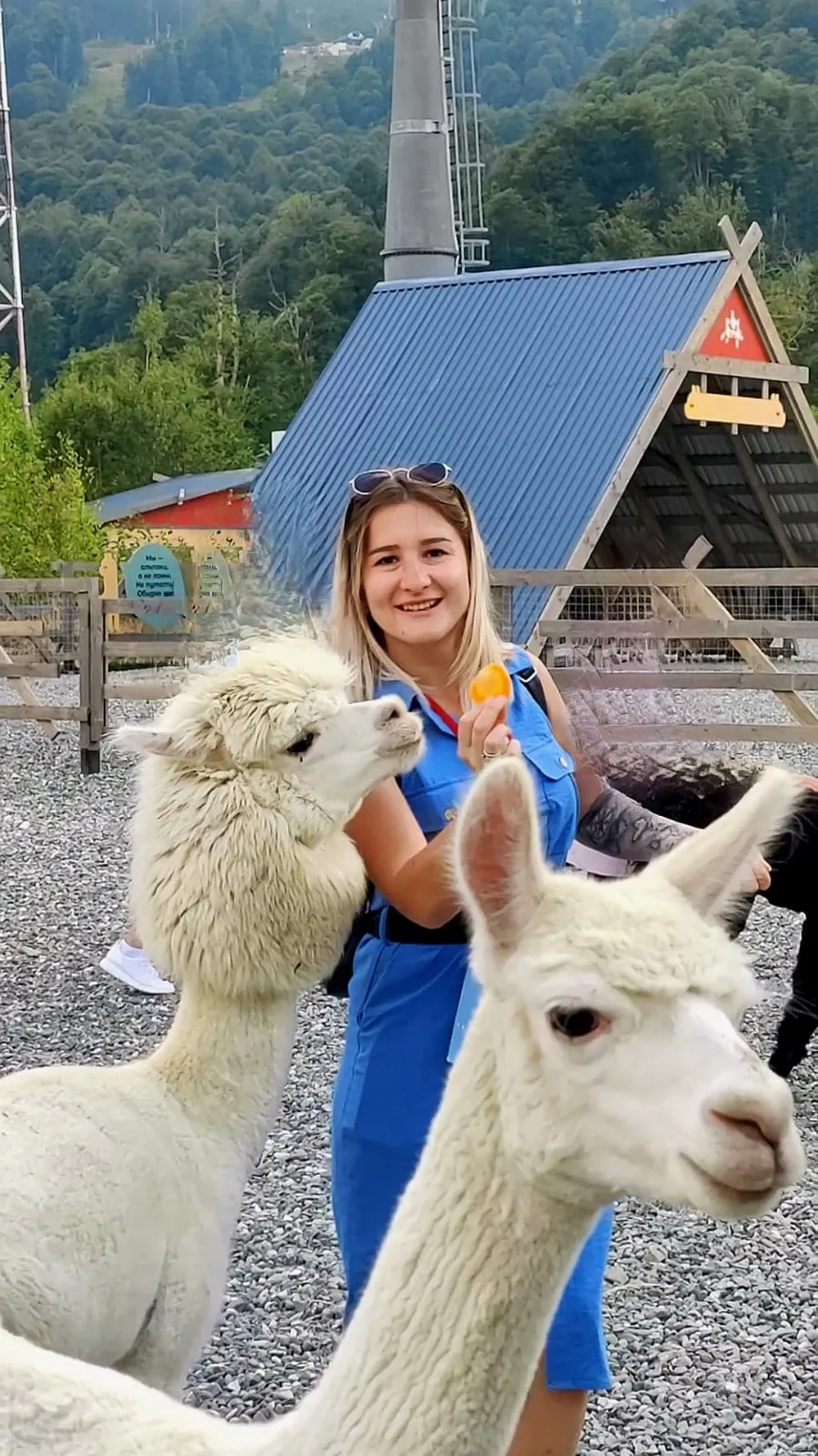 Прекрасное путешествие на Красную Поляну и Розу Хутор