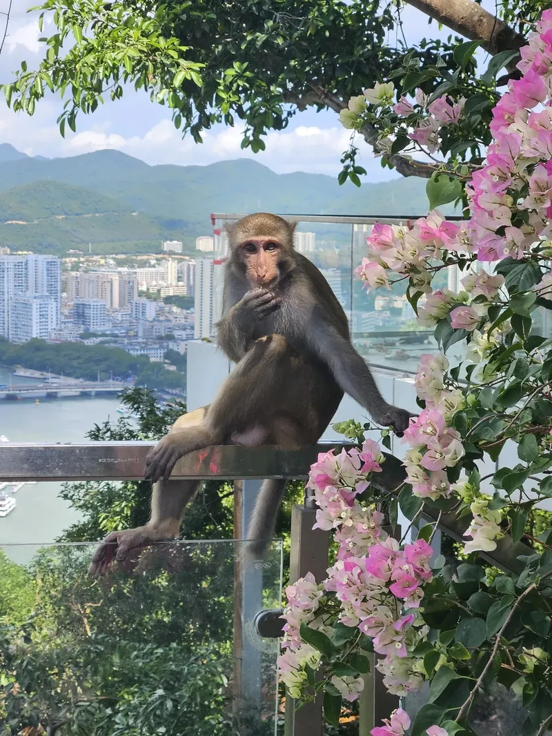 Знакомьтесь, Санья!