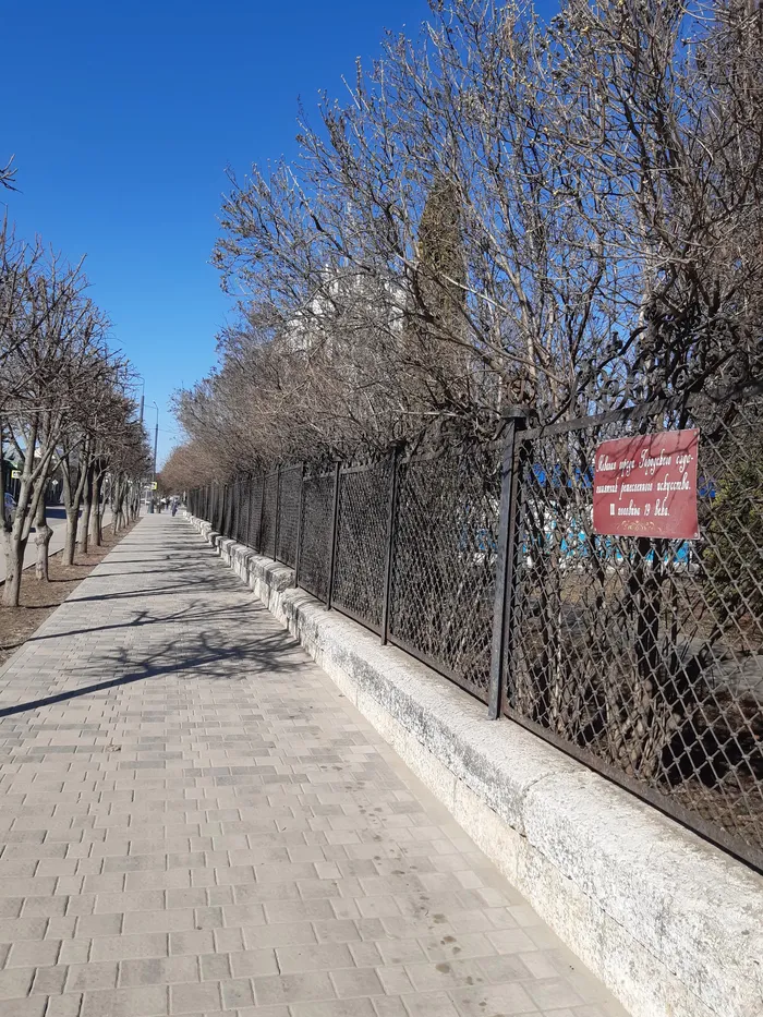 Бунинский Елец