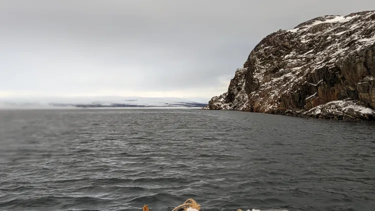 Тундра, скалы, море и его обитатели