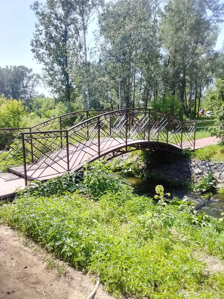 Сузун - город больших монет