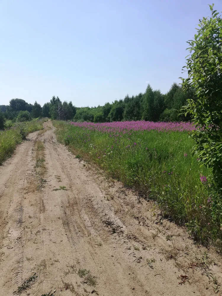 Самоцветы и легенды Урала: купеческий Реж и его окрестности