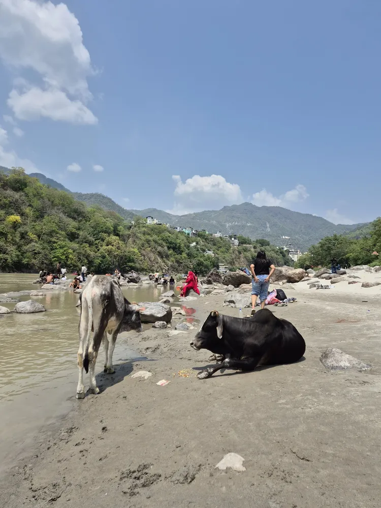 Индия: самые значимые города и места, и всемирная столица йоги Ришикеш