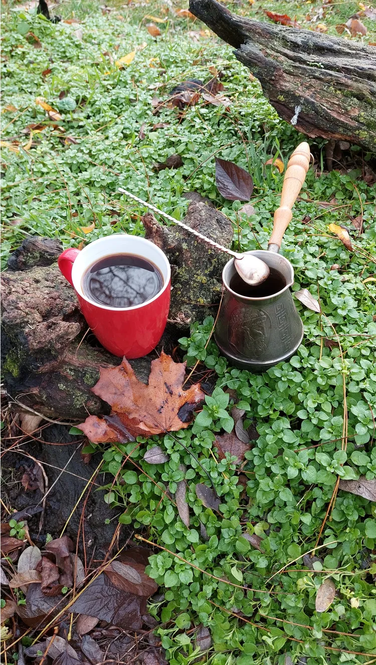 Душевный вечер у реки с гитарой