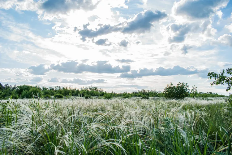 Душевный вечер у реки с гитарой