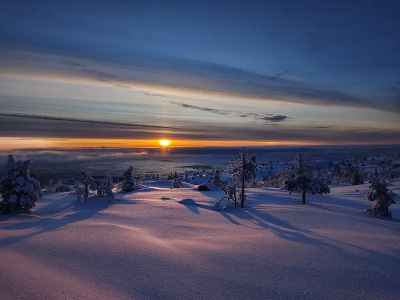 Зимняя сказка Кандалакши: прогулка на снегоходах по живописным сопкам