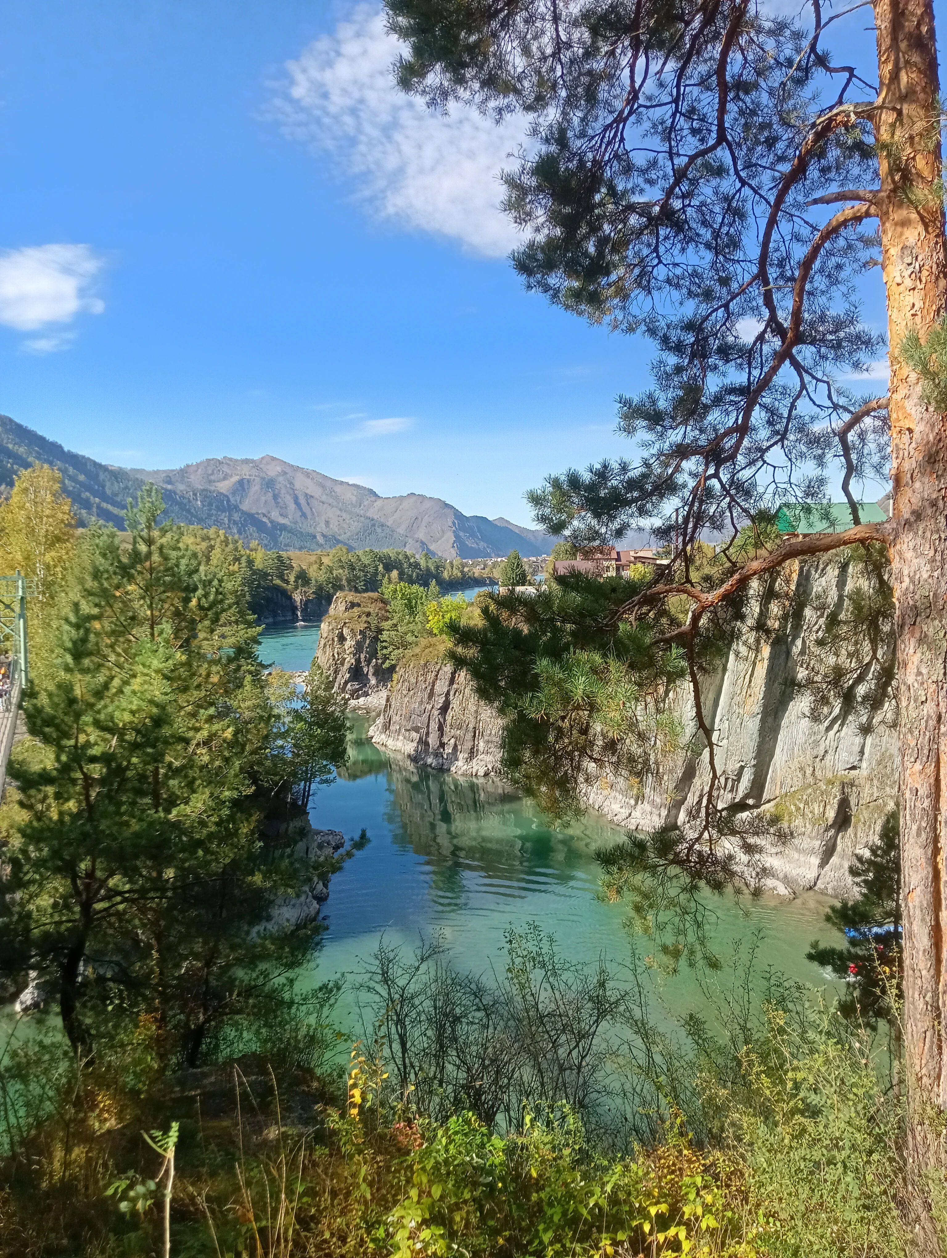 Настоящий Алтай: увидеть Катунь, влюбиться в горы и захотеть остаться навсегда