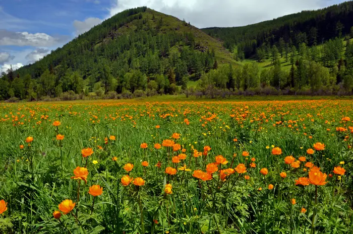 Чертов палец, ароматный чай и легенда о Куюме: трекинг, который цепляет за душу