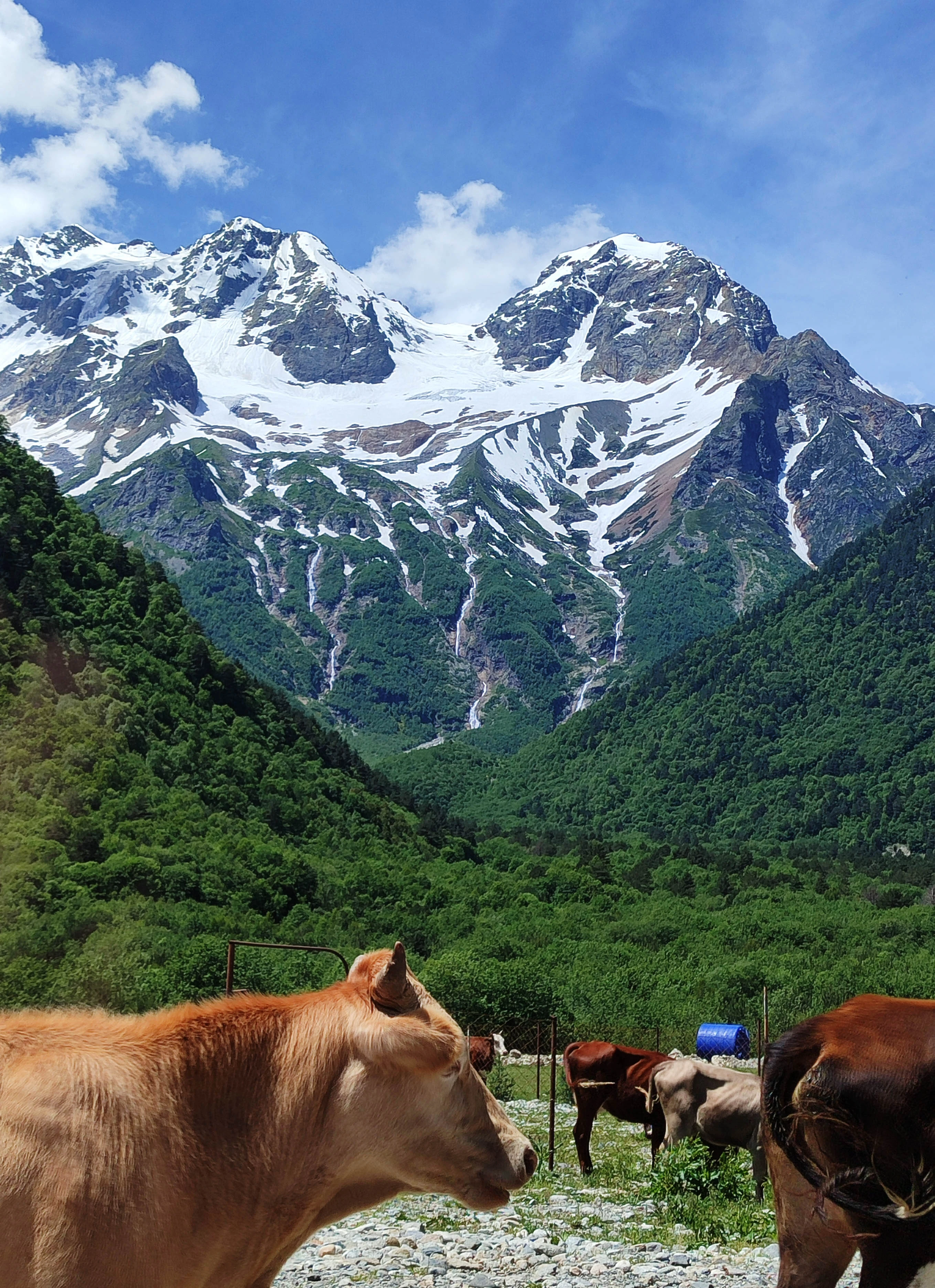 Затерянный мир Дигории: водопады, ледники и древние святилища. Выезд из Кисловодска