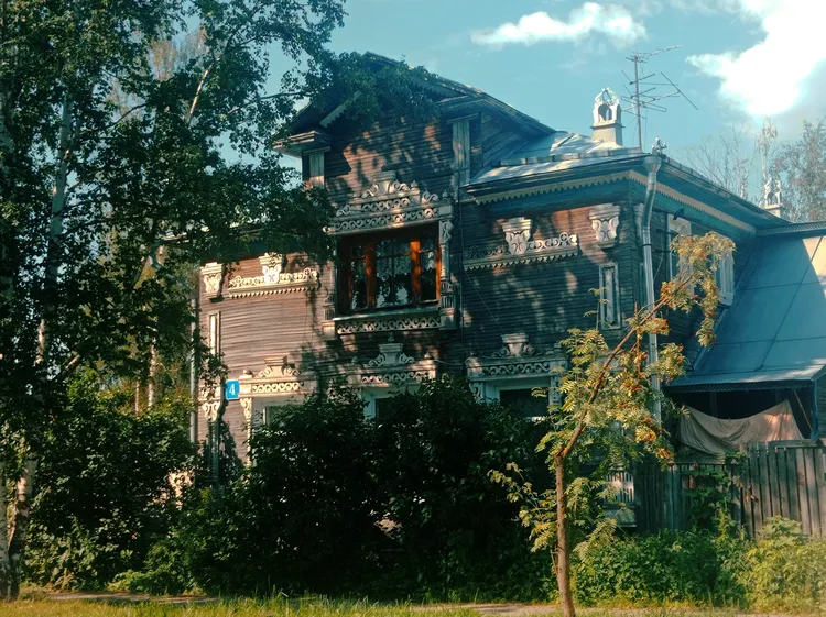 Открывая деревянное царство